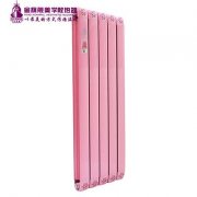 散熱器十大品牌哪家好:使節(jié)能發(fā)揮到極致！