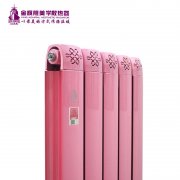 共享延長暖氣片品牌系統(tǒng)壽命的方法